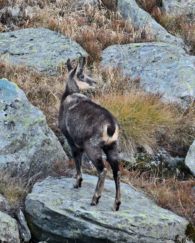 ZSC_0164.jpg