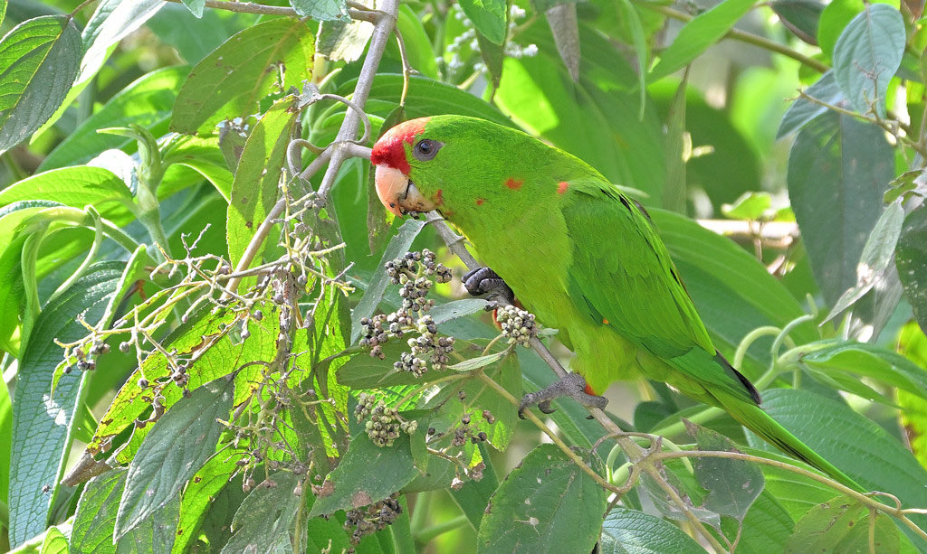 ZSC_6314.jpg