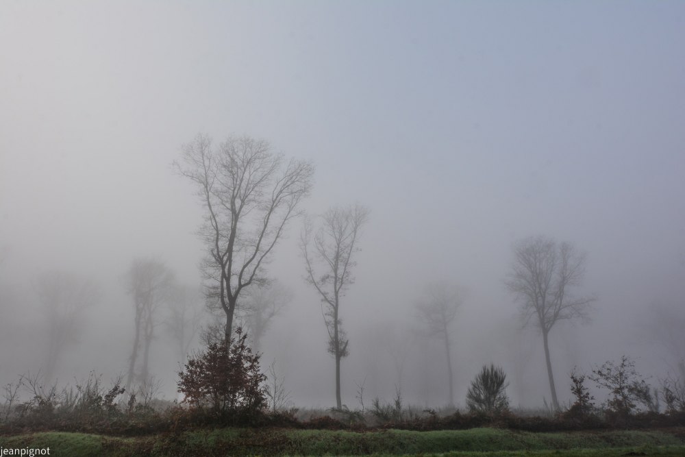 DSC_4441_001DSC_4441.JPG