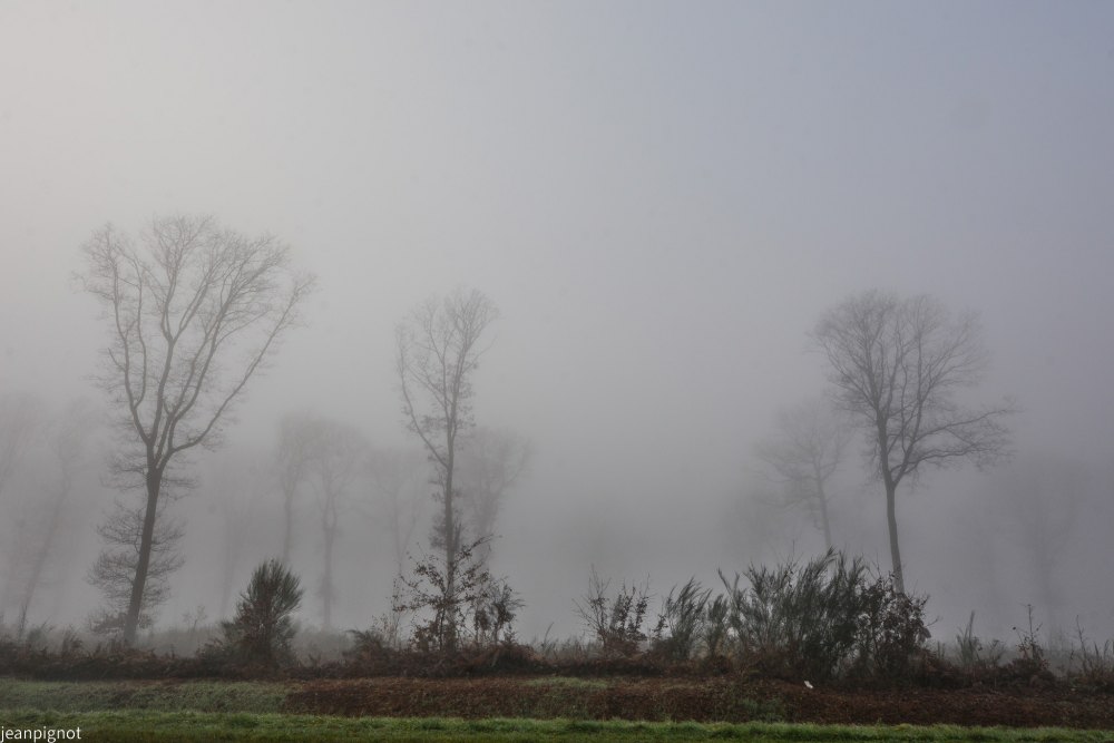 DSC_4442_001DSC_4442.JPG