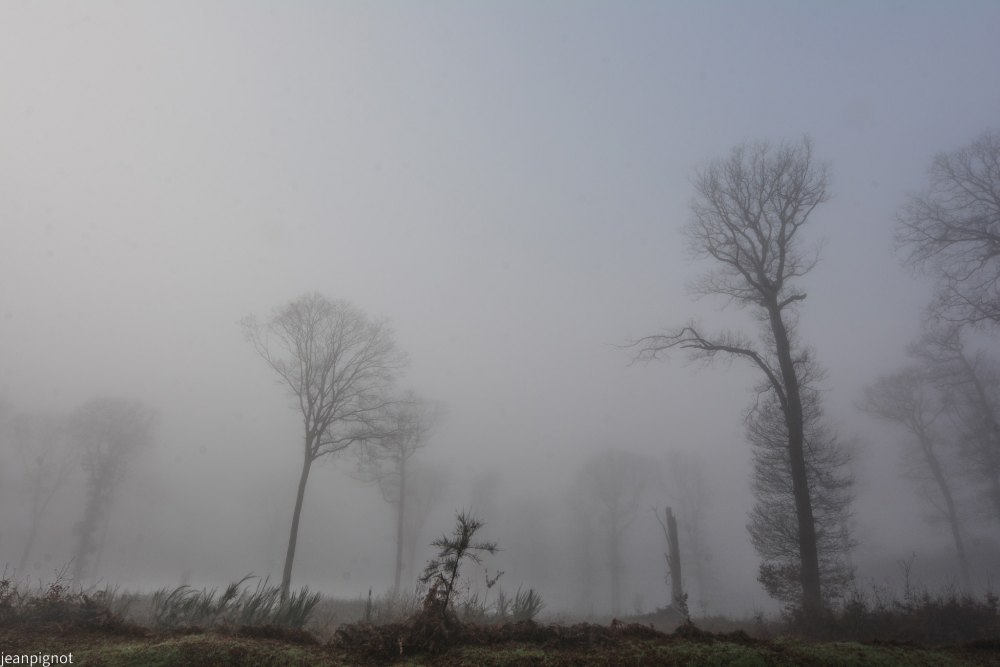 DSC_4443_001DSC_4443.JPG