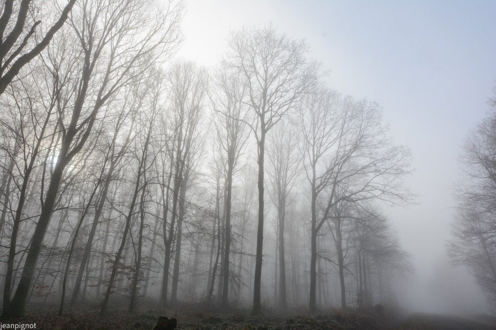 DSC_4449_001DSC_4449.JPG