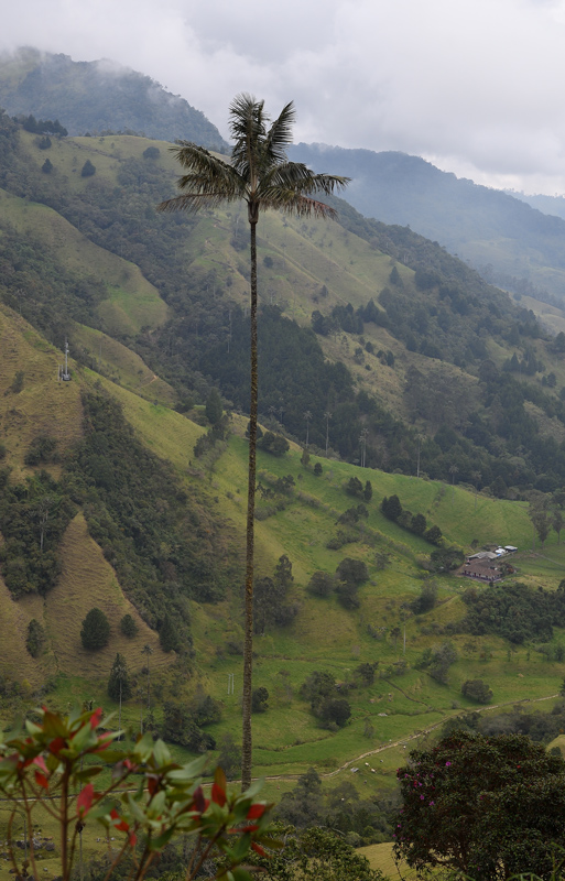 DS5_3975.jpg