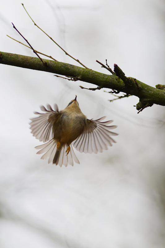 DSC_2738_DxO.jpg