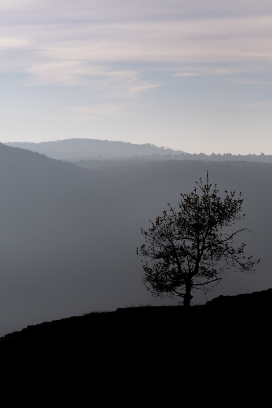 _DSC3755.jpg