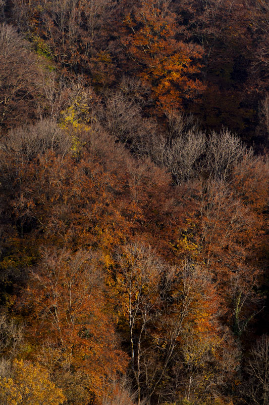 _DSC3760.jpg