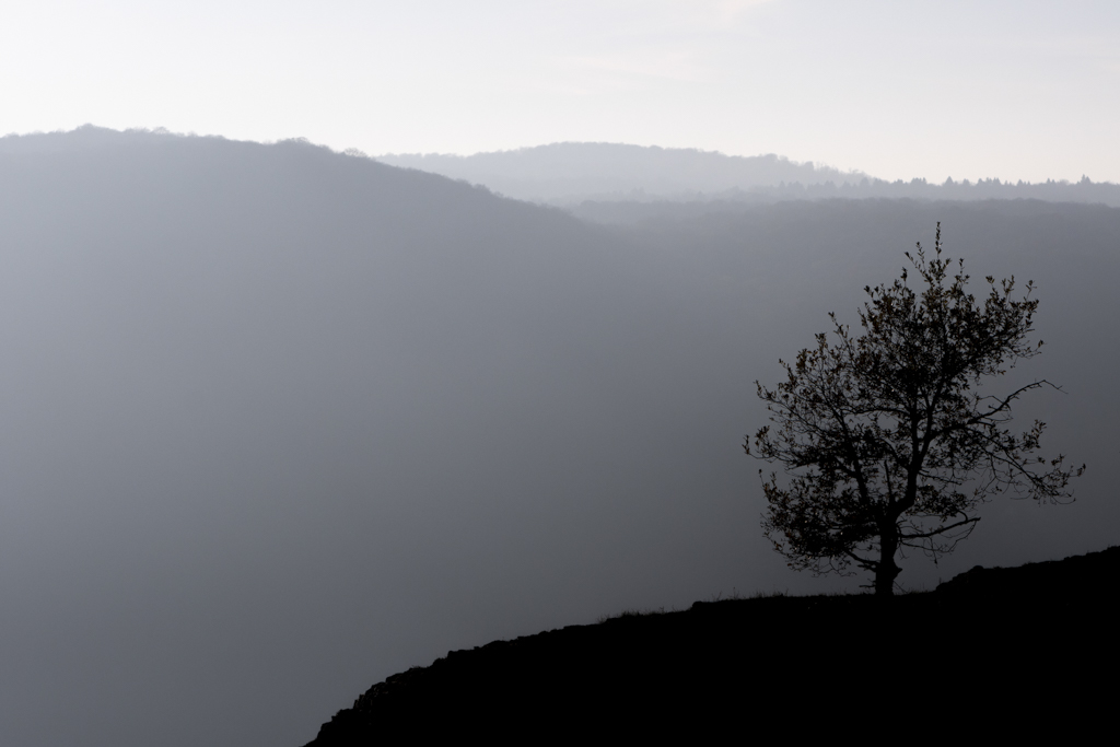_DSC3758.jpg