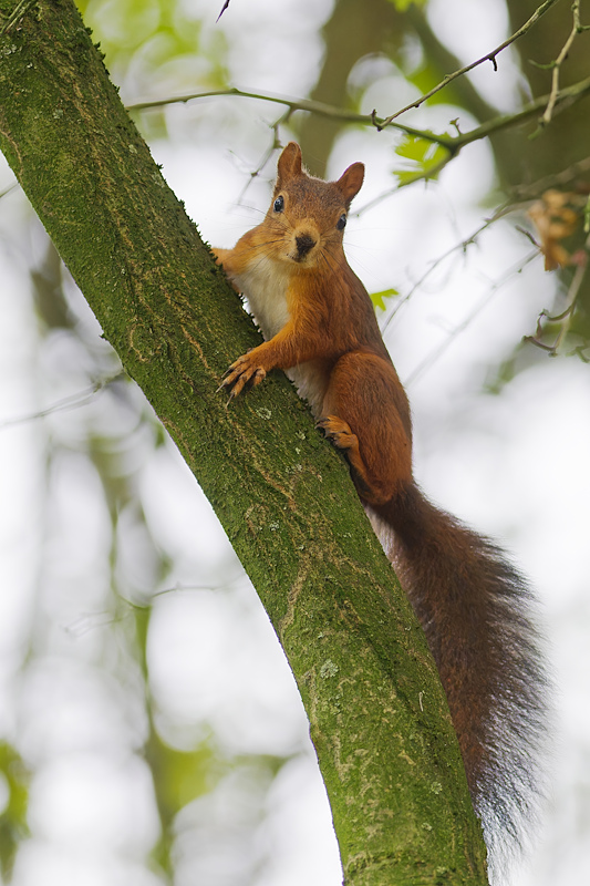 DSC_7148_DxO.jpg