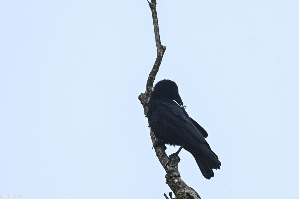 DSC_5713_001DSC_5713.JPG