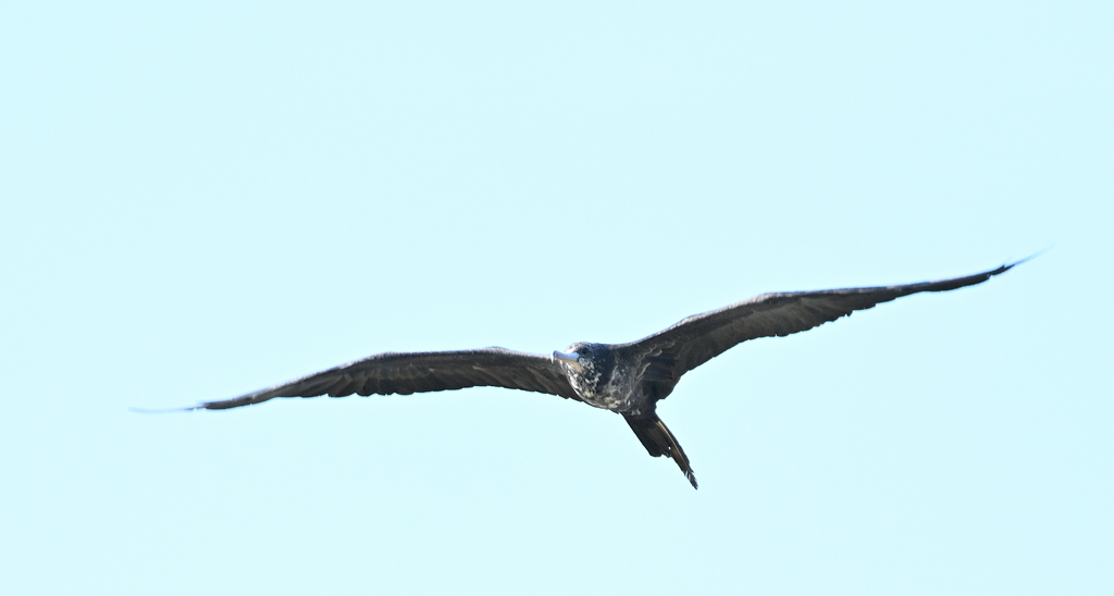 ZSC_6729.jpg