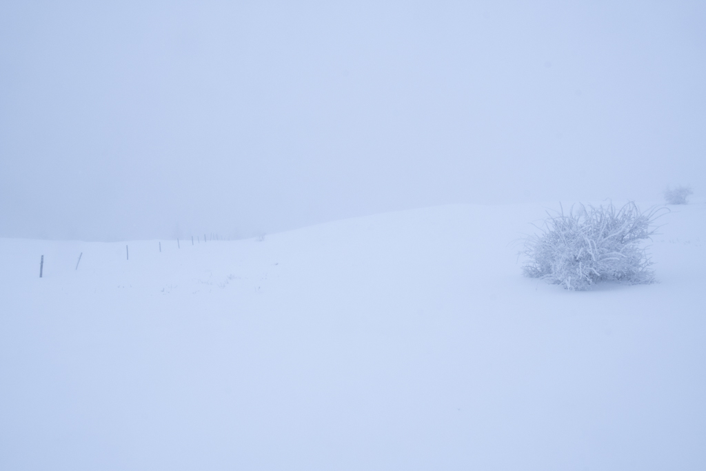 _DSC6308-2.jpg