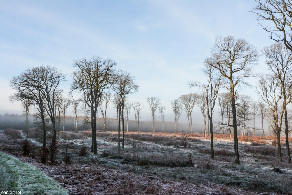 DSC_4550_001DSC_4550.JPG