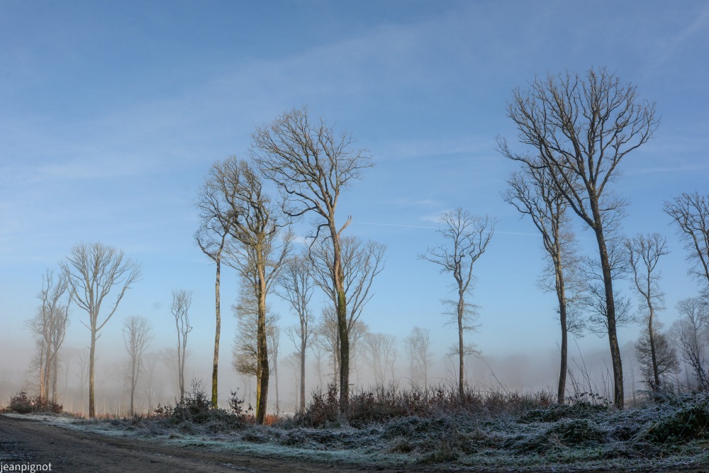 DSC_4551_001DSC_4551.JPG