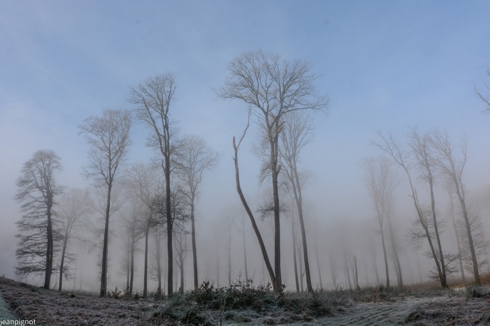 DSC_4559_001DSC_4559.JPG