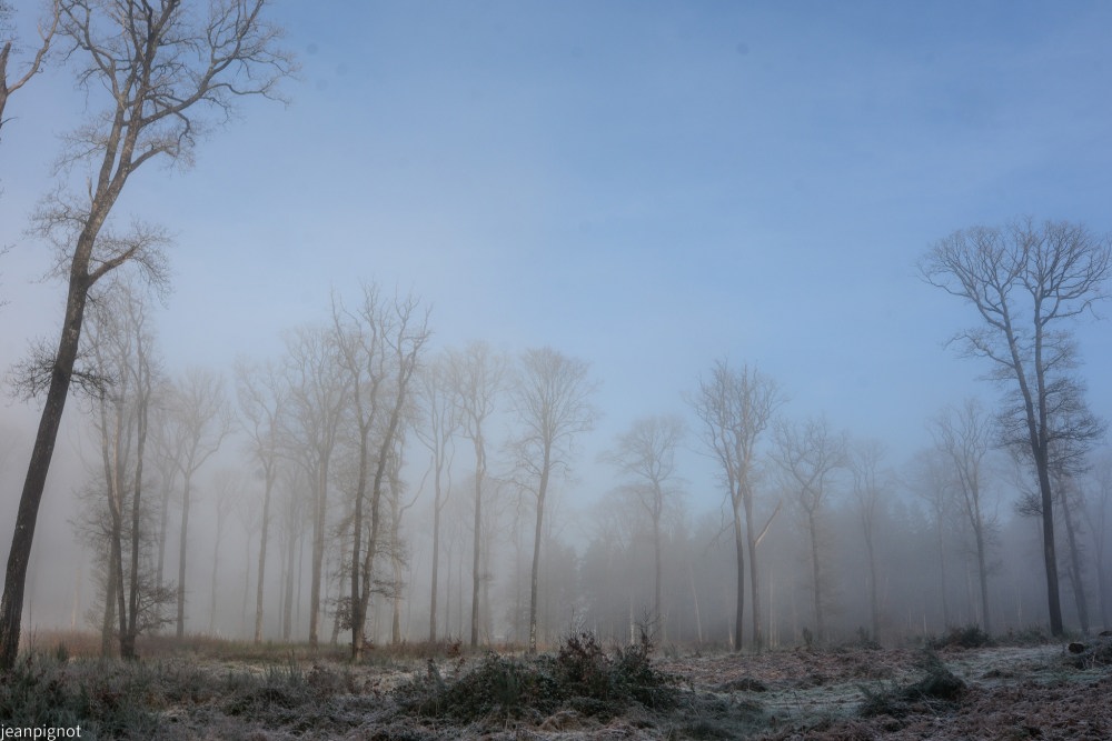 DSC_4560_001DSC_4560.JPG