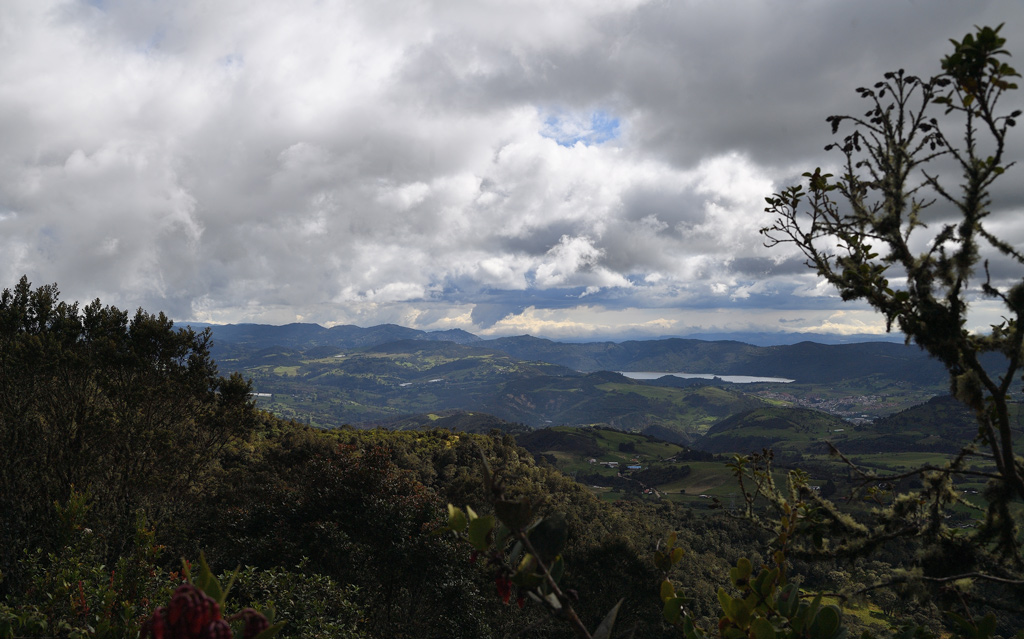 DS5_3891.jpg