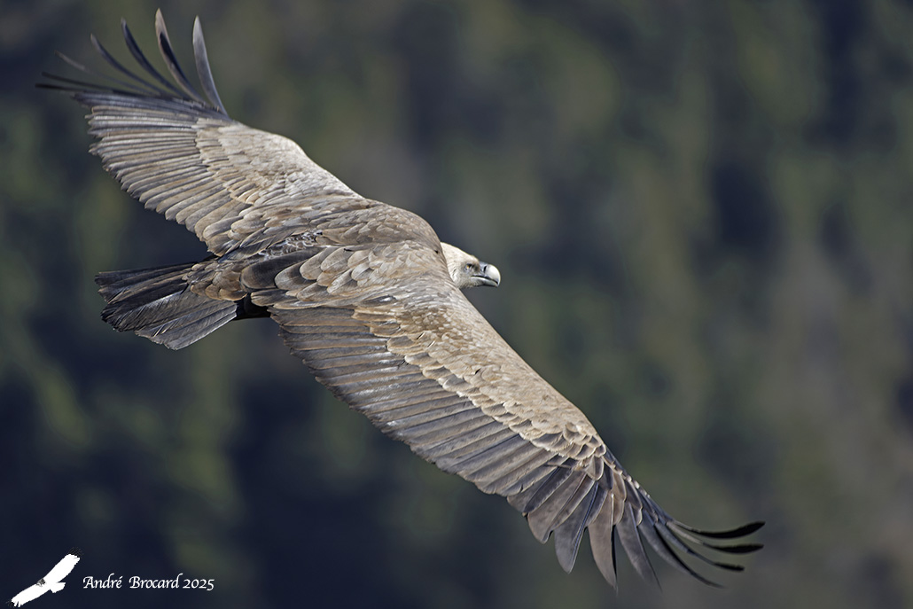 _D9A7566-CR3_DXO ws.jpg