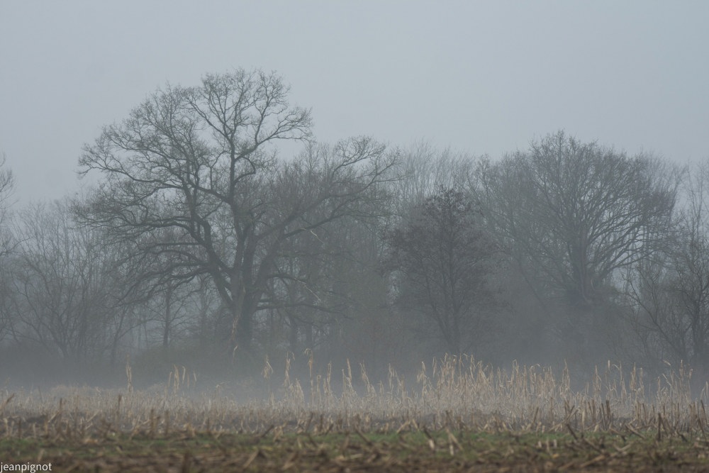 DSC_4913_001DSC_4913.JPG