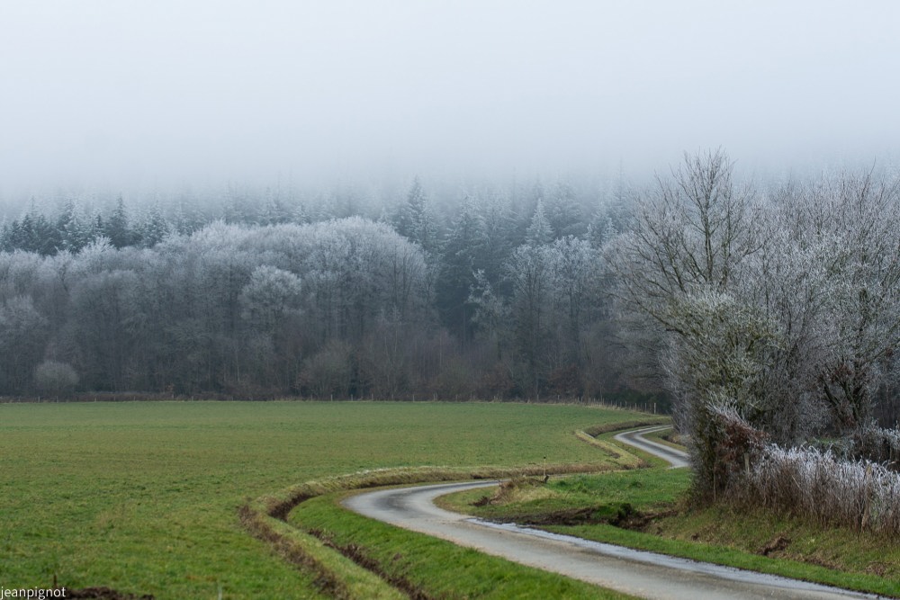 DSC_5422_001DSC_5422.JPG