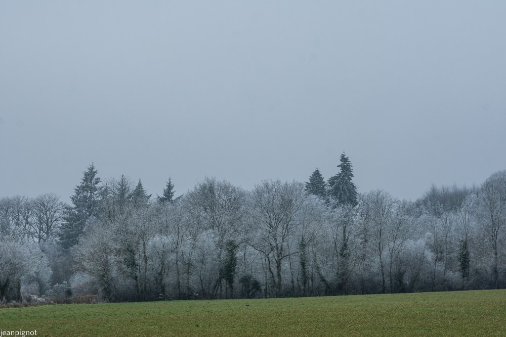 DSC_5430_001DSC_5430.JPG