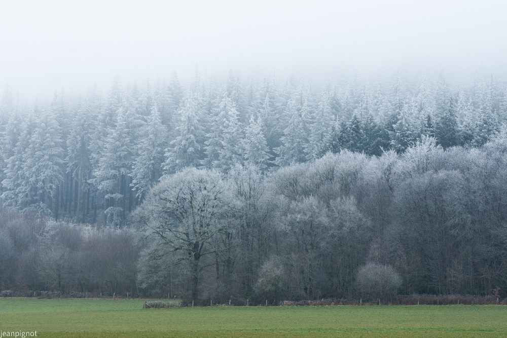 DSC_5431_001DSC_5431.JPG