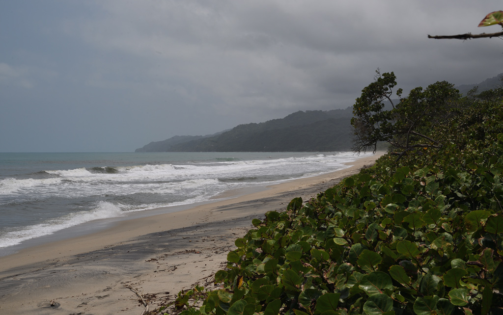 DS5_3984.jpg