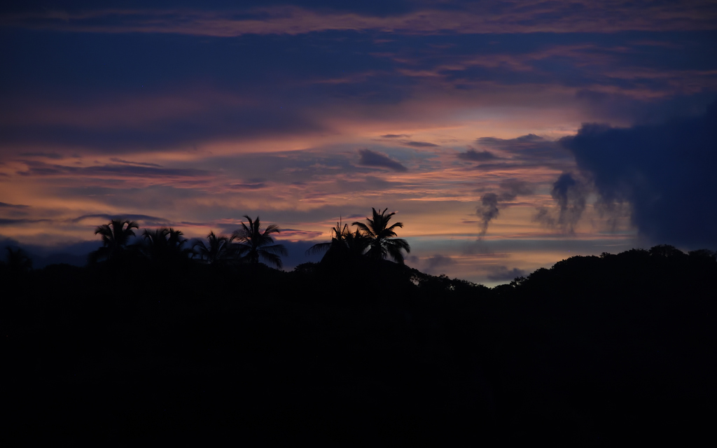 DS5_4019.jpg