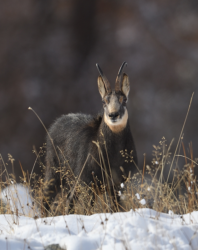 DS5_4084.jpg