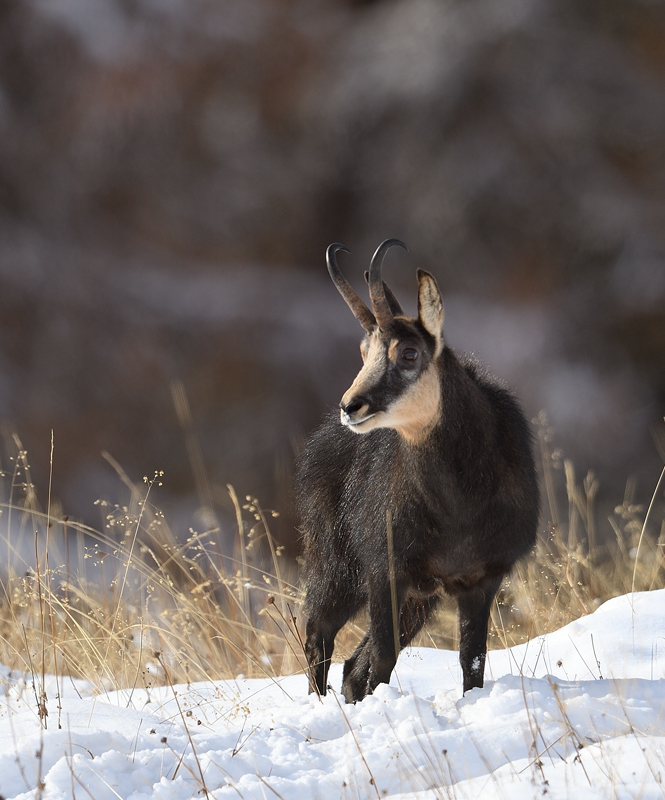 DS5_4095.jpg