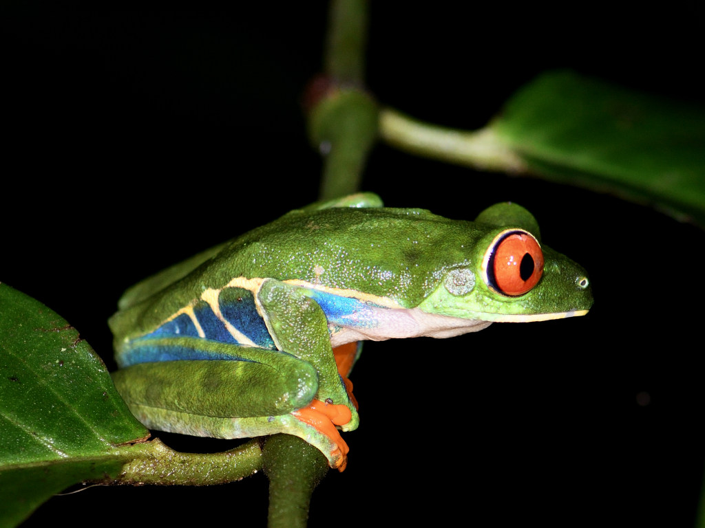 DSC_1387.JPG