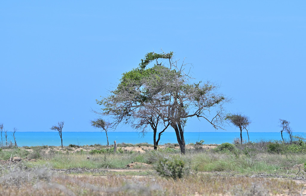 ZSC_7468.jpg