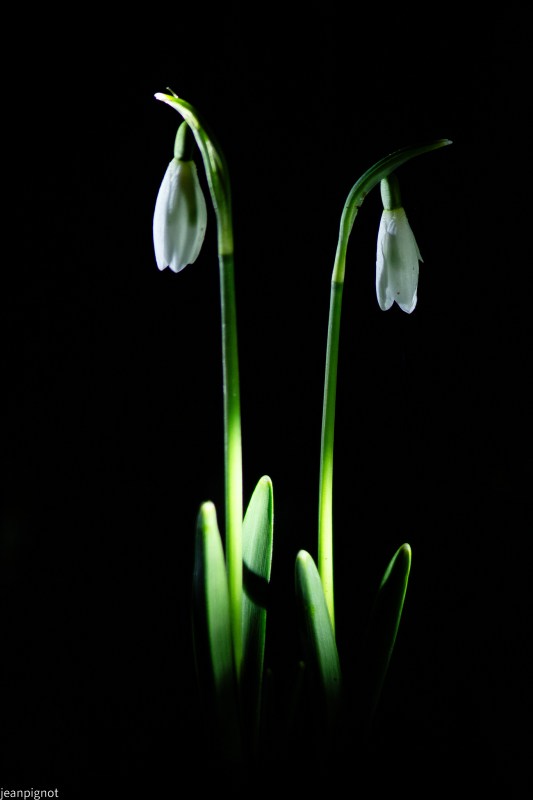 DSC_6772_001DSC_6772.JPG