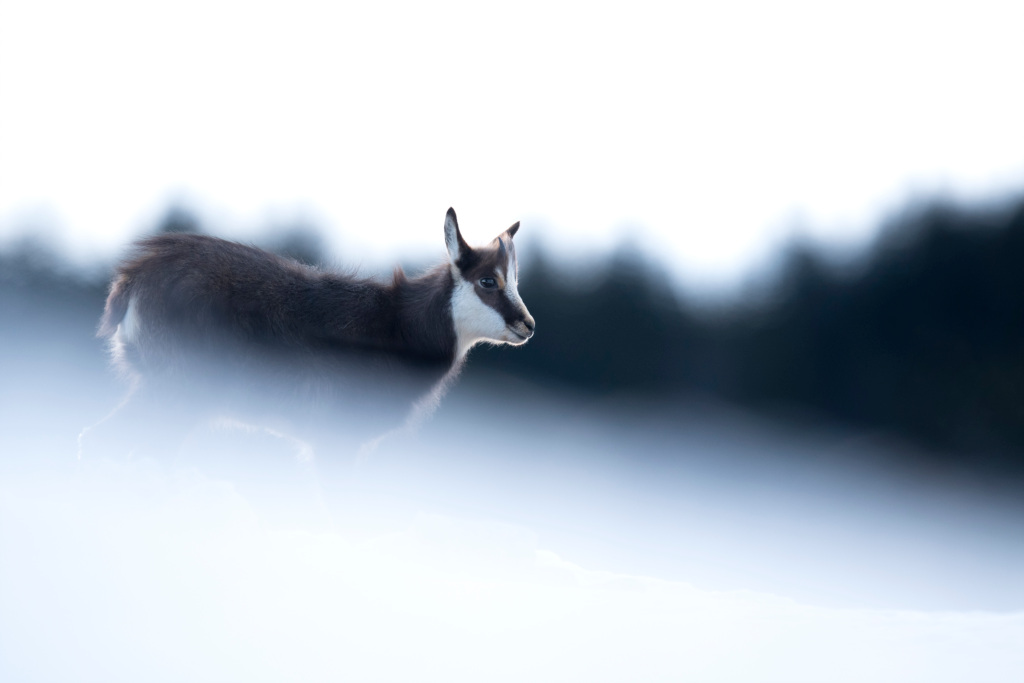 _DSC6869_DxO.jpg
