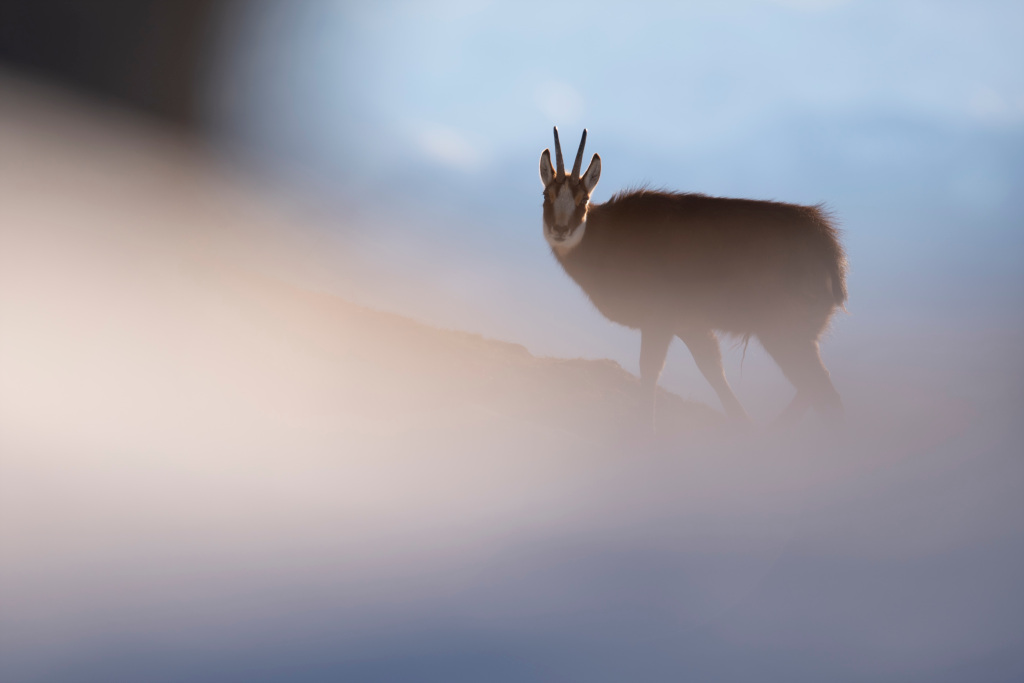 _DSC6931_DxO.jpg