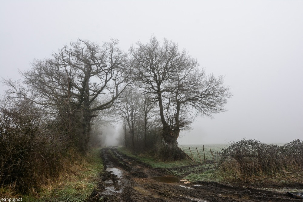 DSC_4665_001DSC_4665.JPG