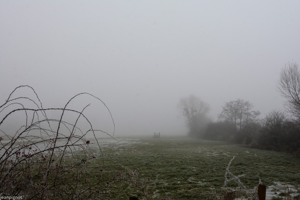 DSC_4671_001DSC_4671.JPG