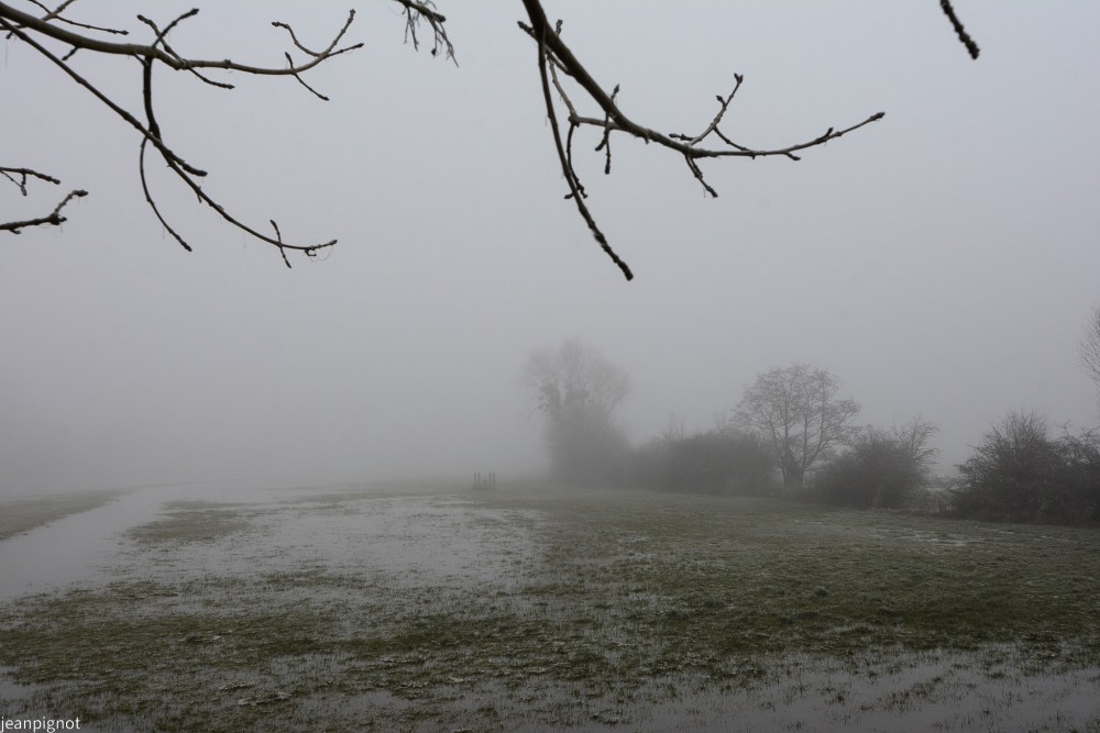 DSC_4672_001DSC_4672.JPG