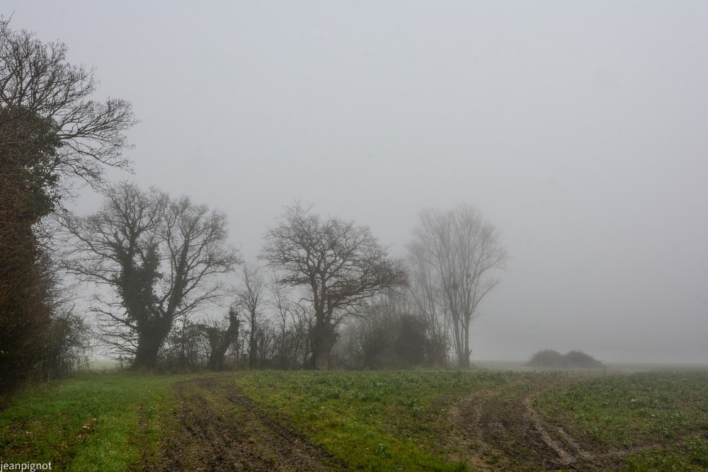 DSC_4677_001DSC_4677.JPG