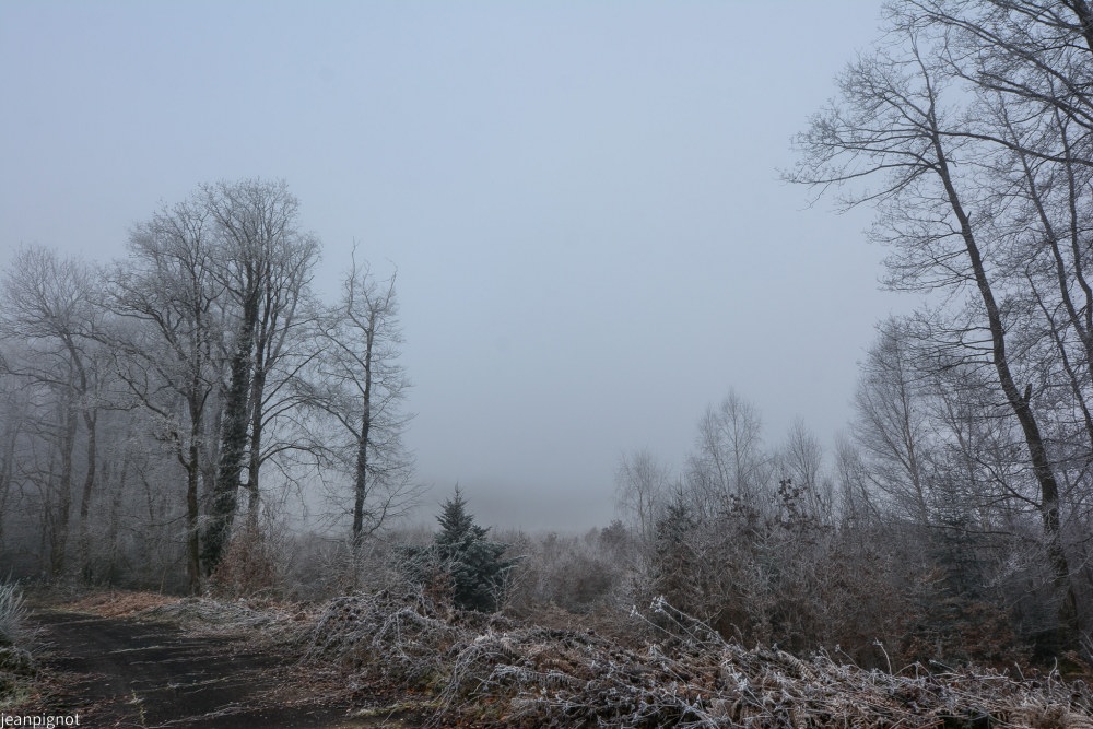 DSC_4701_001DSC_4701.JPG