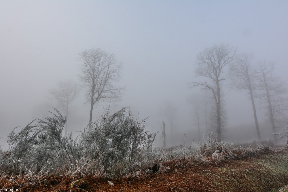 DSC_4710_001DSC_4710.JPG
