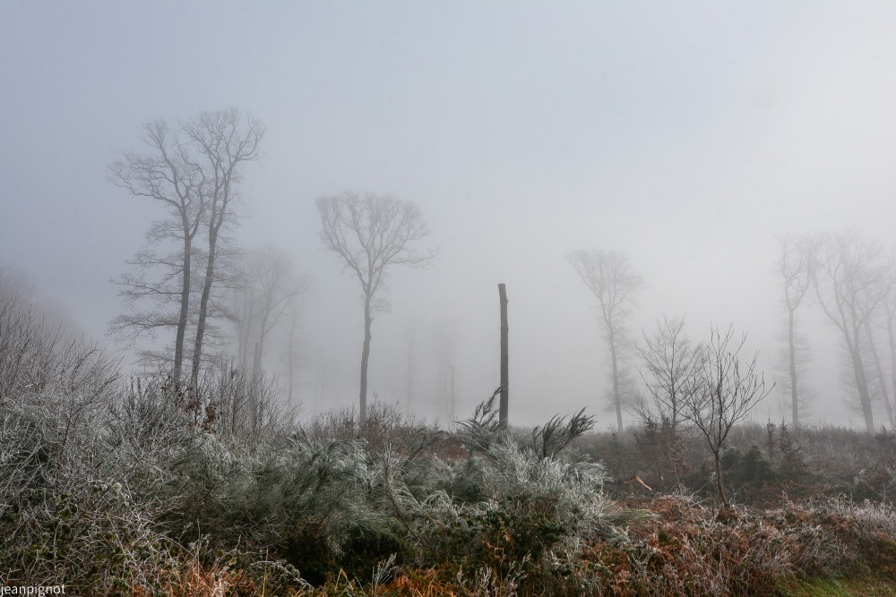 DSC_4718_001DSC_4718.JPG