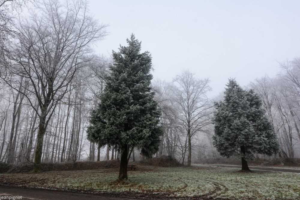 DSC_4720_001DSC_4720_01.JPG