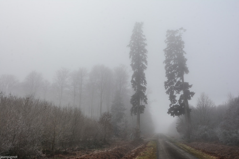 DSC_4723_001DSC_4723.JPG