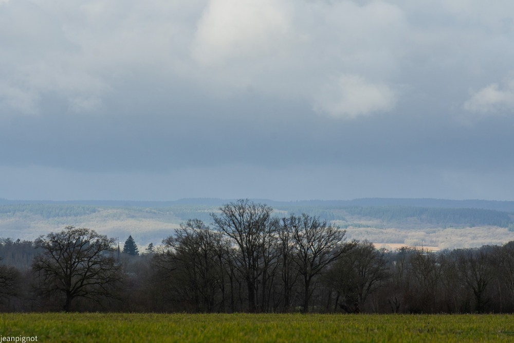 DSC_6475_001DSC_6475.JPG