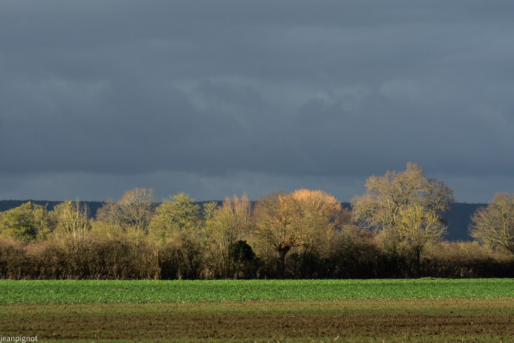 DSC_6509_001DSC_6509.JPG