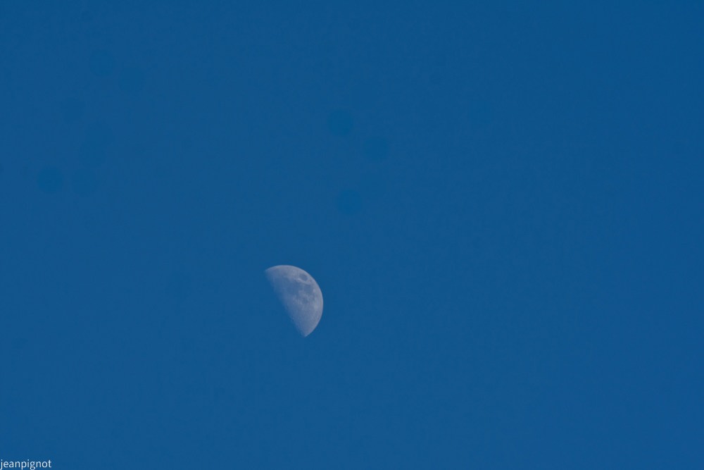 DSC_7308_001DSC_7308.JPG