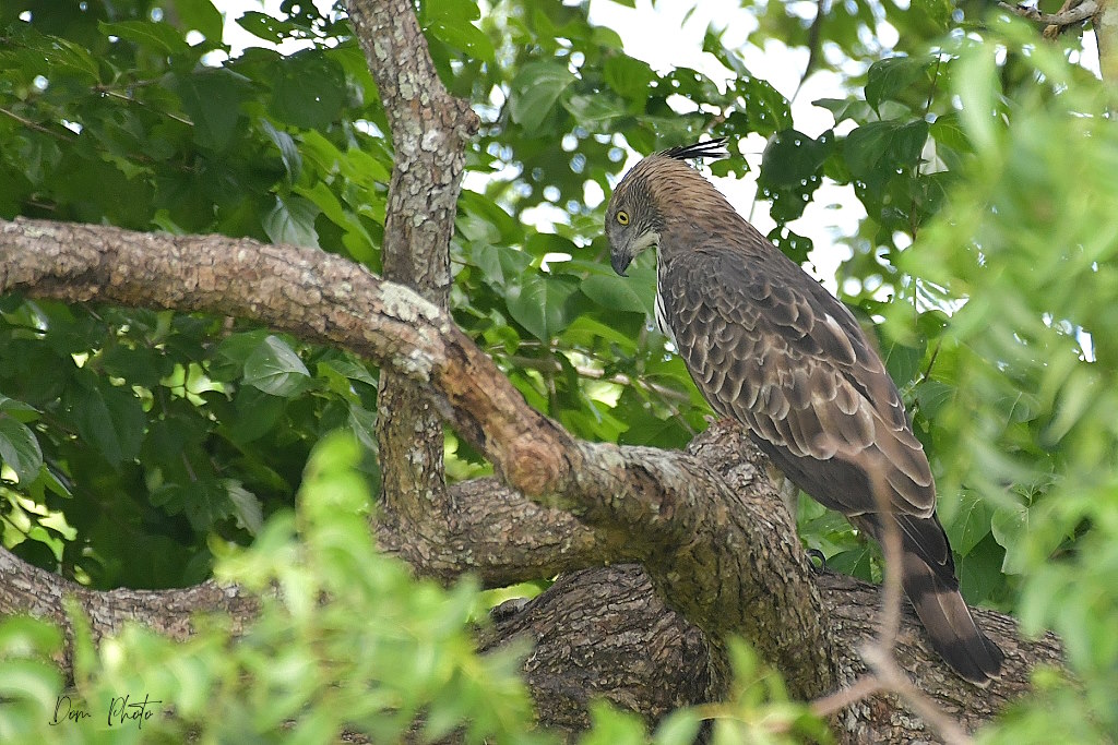 DSC_8024IN.jpg