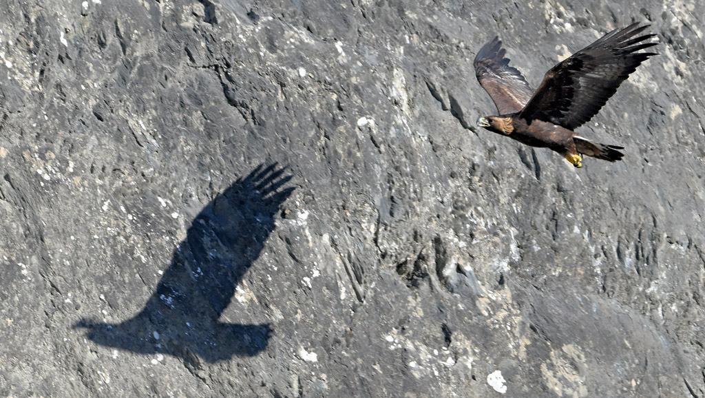 ZSC_3874.jpg