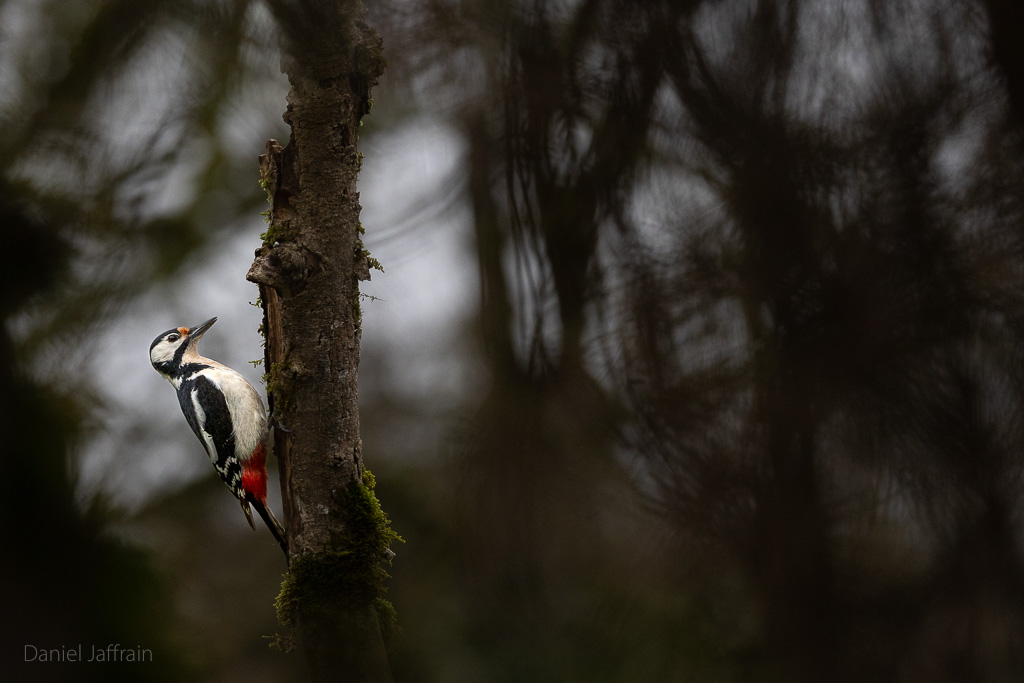 Image et Nature-1-117.jpg