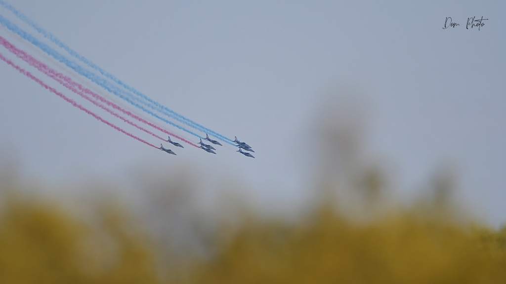 DSC_4283IN.jpg